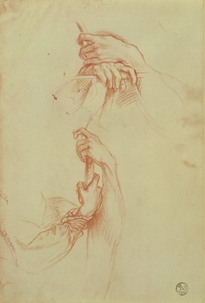 Two Studies of a Young Man
